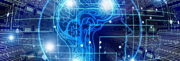 Dynamics Customer Insights between Marketing and Reality: Does It Really Deliver?